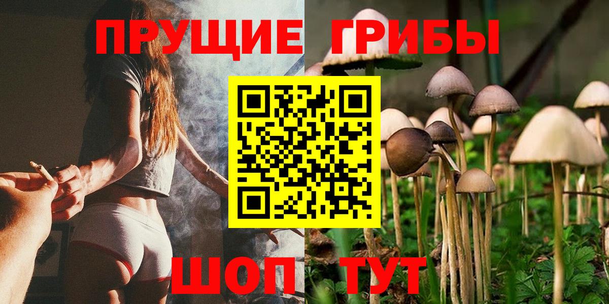 Ликино-Дулёво  Галлюциногенные грибы Psilocybine cubensis  Вход с VPN  Галлюциногенные грибы GOLDEN TEACHER 